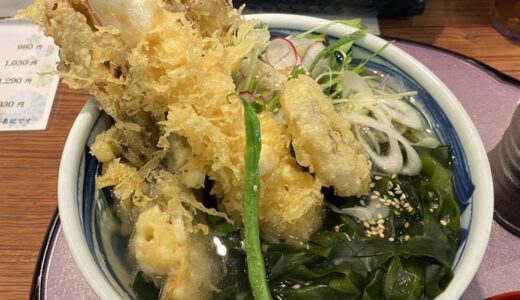 【石川グルメ】個人的に金沢では最高の天ぷらうどんのひとつだと思う ー 金澤さぬき　石川県金沢市